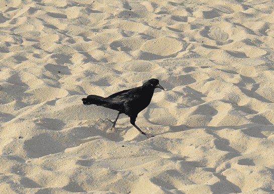 コンテンツに応じた塗りつぶし加工前