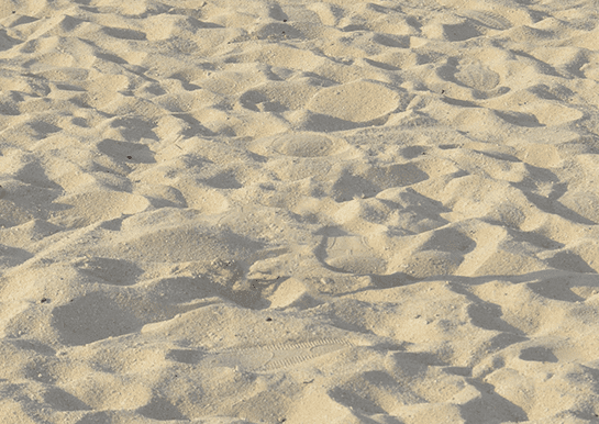 コンテンツに応じた塗りつぶし加工後